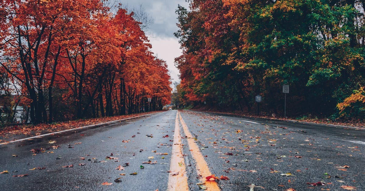 10 Idées de Escapades de Week-end avec Voiture de Location